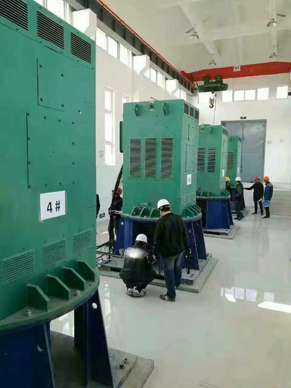皇桐镇某污水处理厂使用我厂的立式高压电机安装现场品质保证