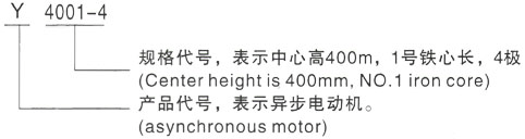 西安泰富西玛Y系列(H355-1000)高压皇桐镇三相异步电机型号说明
